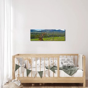 Obraz - Jeleň v lúke (s hodinami) (90x30 cm)