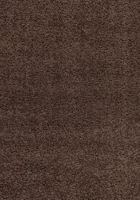 Ayyildiz koberce Kusový koberec Dream Shaggy 4000 brown - 65x130 cm
