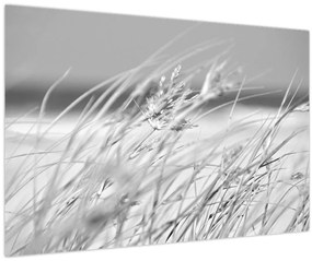Obraz - Plážová tráva (90x60 cm)