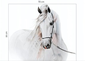 Krásna nálepka na stenus motívom bieleho koňa 115 x 127 cm