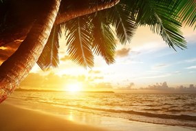 Obraz východ slnka na karibskej pláži Varianta: 120x80