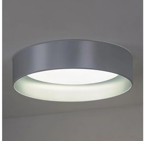 Duolla Duolla - LED Stropné svietidlo ROLLER LED/24W/230V strieborná DU605359