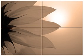 Obraz na plátne - Slnečnica kvet 1201FE (90x60 cm)