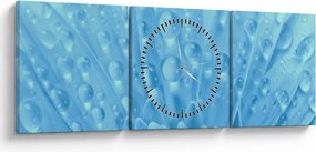Obraz - Makro záber kvetu (s hodinami) (90x30 cm)