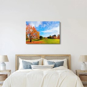 Obraz - Jesenná krajina (90x60 cm)
