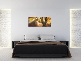 Obraz - Jesenný svit (120x50 cm)