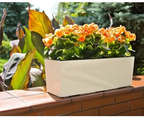Balkónový truhlík BOUQUET 56 cm biely