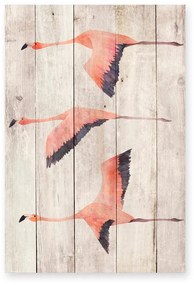 Nástenná dekorácia z borovicového dreva Madre Selva Flying Flamingo, 60 × 40 cm