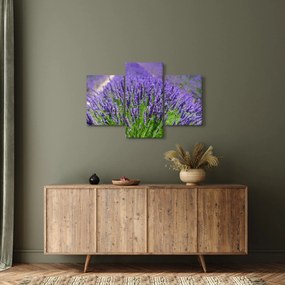 Obraz - levanduľa (90x60 cm)