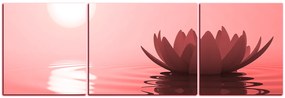Obraz na plátne - Zen lotus - panoráma 5167CC (90x30 cm)