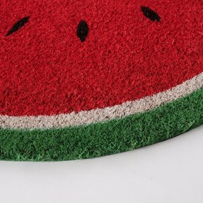 Vnútorná rohožka Melone, 60x40 cm