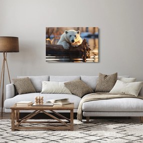 Obraz - Medveď ľadový (90x60 cm)