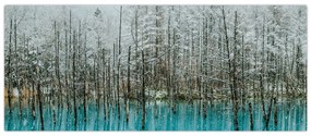 Obraz - Tyrkysový rybník, Biei, Japonsko (120x50 cm)