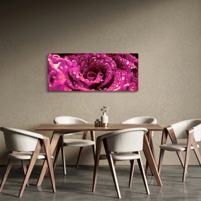 Obraz ružového kvetu ruže (120x50 cm)