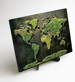 DUBLEZ | Obraz machovej mapy sveta z dreva