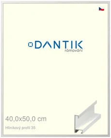 DANTIK rám na obraz 40x50 | ALU Dýha bílá (Plexi Čiré)