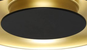 Stropné LED svietidlo Piattino, 1x LED 30w, 3000-6000k, b/g