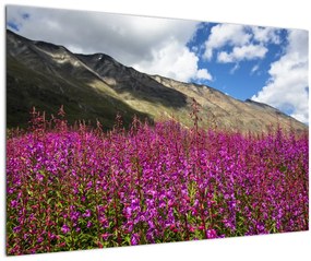 Obraz scenérie horské lúky (90x60 cm)