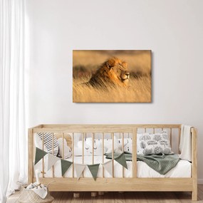 Obraz - Národný park Etosha (90x60 cm)
