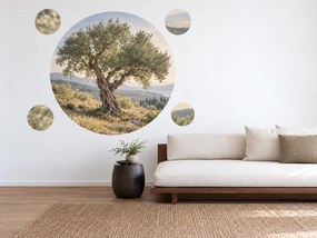 Starý olivovník na kopci stredomorské textilné nálepky na stenu arch 46 x 46 cm