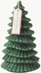 Stĺpová sviečka Cypress & Fir