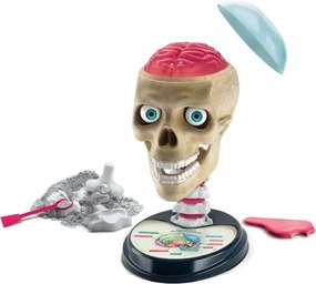 Veda Zábava Bláznivá anatómia Poľský jazykový set Clementoni 50697