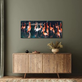Obraz stádo plameniakov (120x50 cm)