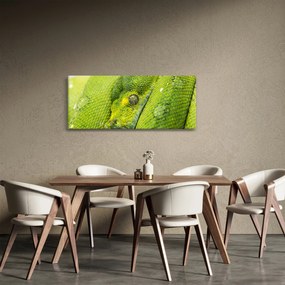Obraz hada (120x50 cm)