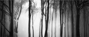 Obraz - Vlk v temnom lese (120x50 cm)
