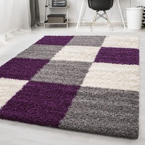 Fialovo-sivý koberec 160x230 cm Life – Ayyildiz Carpets