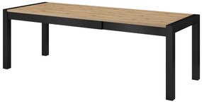 Jedálenský stôl Armin Typ 92 (pre 8 a viac osôb) (dub taurus + matná čierna). Vlastná spoľahlivá doprava až k Vám domov. 1044559