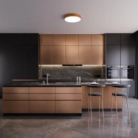 Kúpeľňové stropné svietidlo so senzorom CLEO 4xE27/24W/230V pr. 50cm IP54 medené