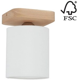 Spot-Light 8512174 - Stropné svietidlo JENTA 1xE27/25W/230V