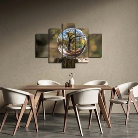 Obraz - Odraz v sklenenej guli (150x105 cm)