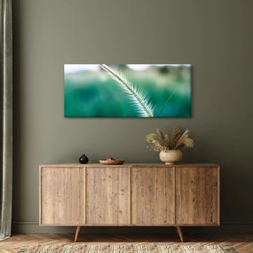 Obraz steblá trávy (120x50 cm)