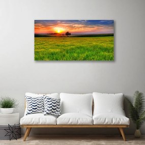 Obraz Canvas Lúka slnko príroda 125x50 cm