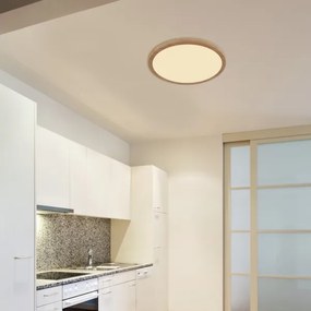 Globo 41562-24WW - LED Stmievateľné kúpeľňové svietidlo SAPANA LED/24W/230V IP44