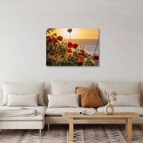 Obraz západu slnka s vlčími makmi (70x50 cm)