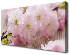 Obraz Canvas Vetvy kvety plátky príroda 100x50 cm