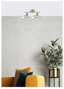 Kovové bodové svietidlo v zlatej farbe 9x36 cm Colly – Candellux Lighting