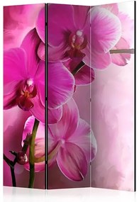Paraván - Pink Orchid [Room Dividers] Veľkosť: 135x172, Verzia: Akustický
