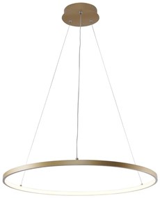 Zuma Line 2023201-GD60 - LED Luster na lanku BRENO LED/28W/230V 3000/4000/6000K