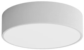 LED Stropné svietidlo CLEO LED/24W/230V 4000K pr. 30 cm šedá