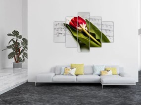 Obraz červeného tulipánu (150x105 cm)