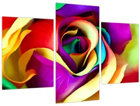 Obraz - Farebná ruža (90x60 cm)
