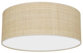 Stropné svietidlo Marshall, 1x ratanové tienidlo, (biele plexisklo), (fi 40cm)