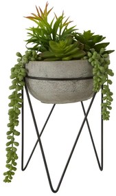 Umelý sukulent (výška 36 cm) Fiori – Premier Housewares