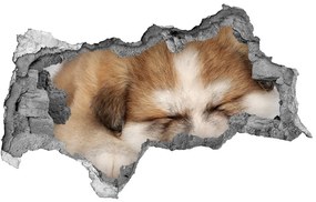 Diera 3D fototapeta nálepka Akita šteňa nd-b-49805861