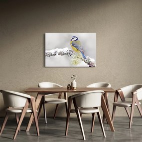 Obraz - Sýkorka (90x60 cm)