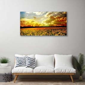 Obraz Canvas Pole slnečníc krajina 125x50 cm
